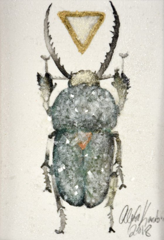 Beetle, Lamprima Adophinae