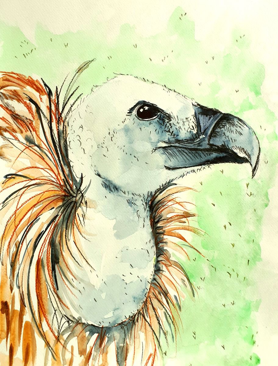 Griffon vulture by Marily Valkijainen