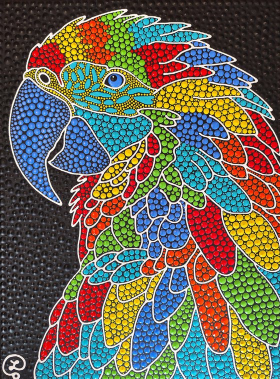 Rainbow Macaw