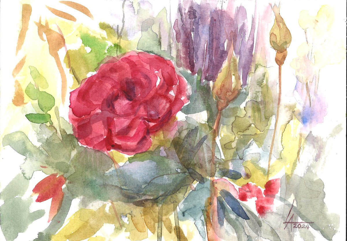 Roses in the garden by Elena Lykhodid