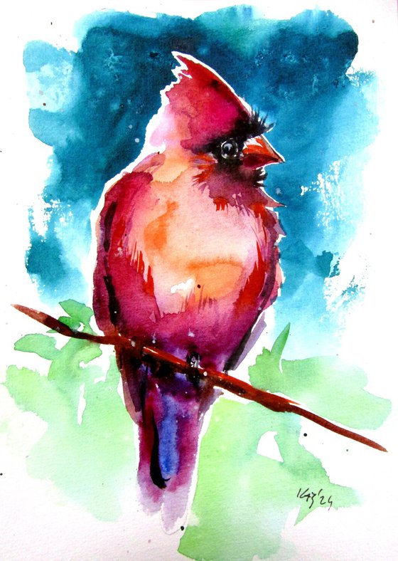 Cardinal bird