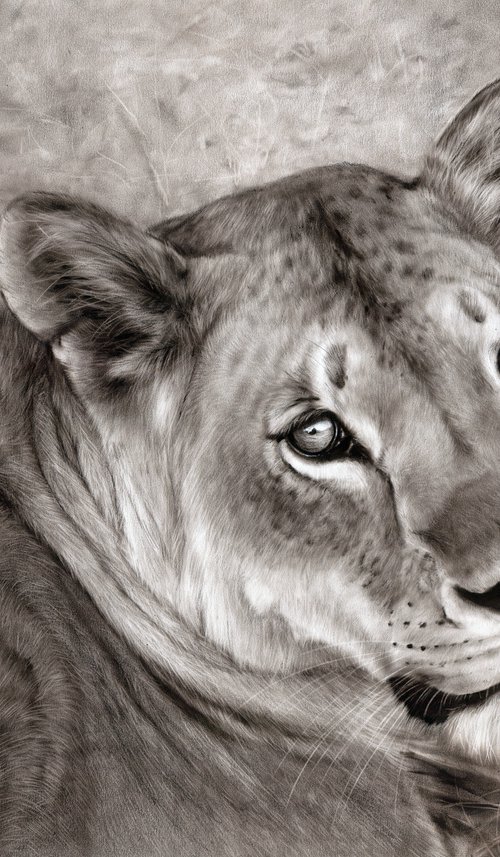 Queen Of Savannah by Danguole Serstinskaja