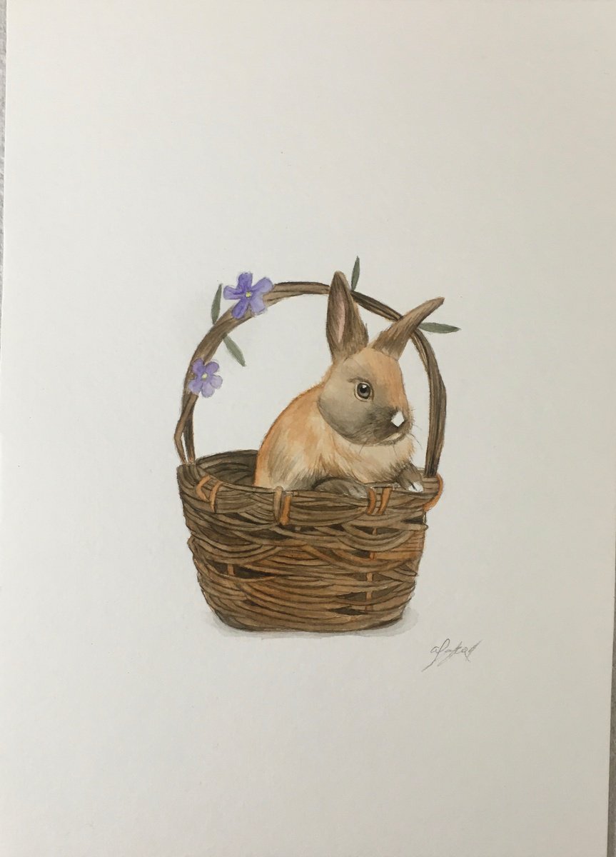 Bunny in basket by Amelia Taylor