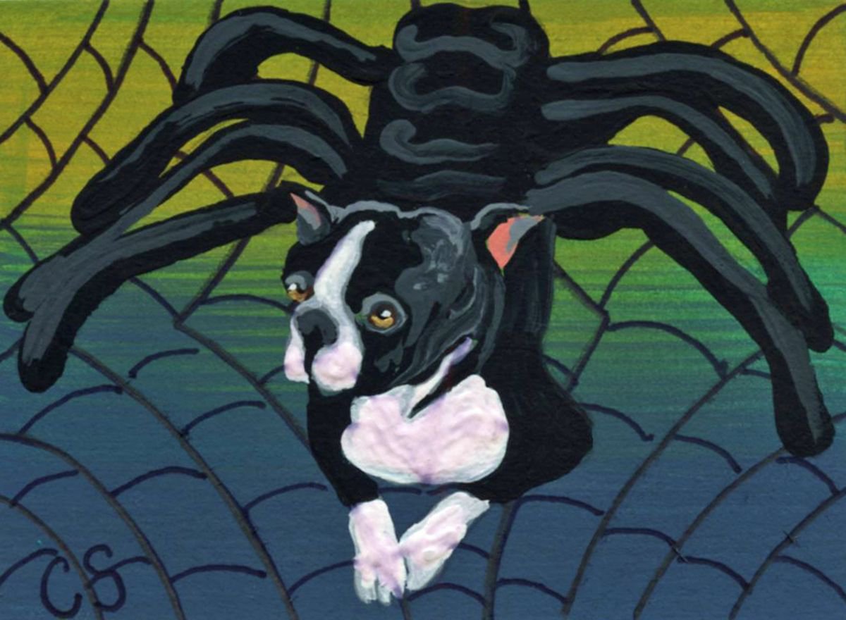 ACEO ATC Original Painting Halloween Boston Terrier Spider Pet Dog Art-Carla Smale by carla smale