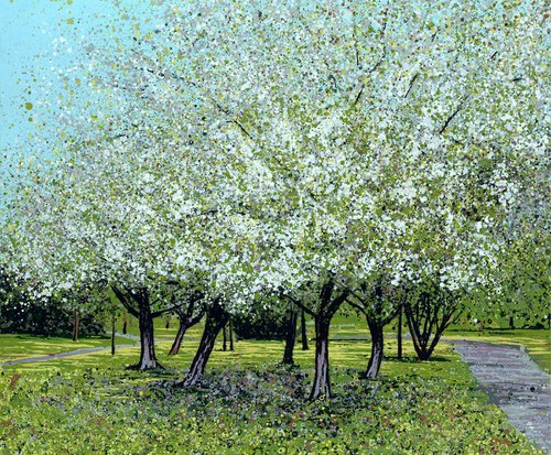Blossom in the Park by Angelique Hartigan