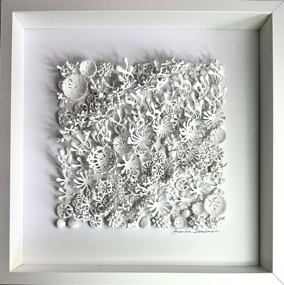 Reef