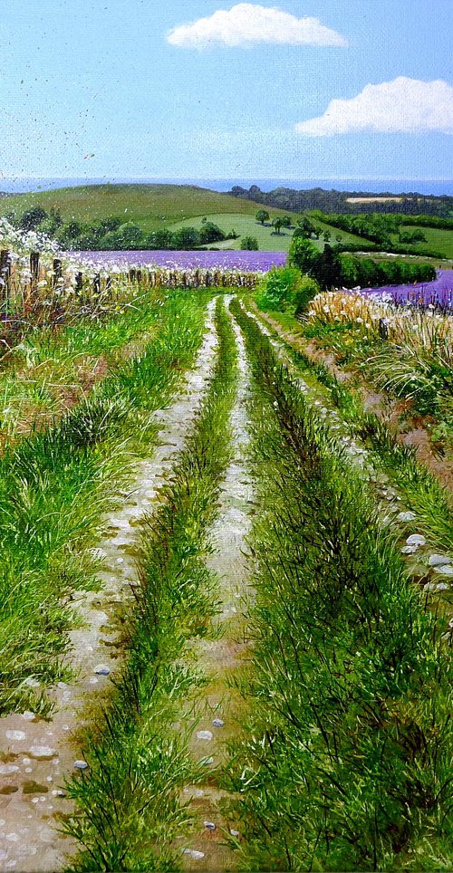 Phacelia to the Sea by Paula Oakley