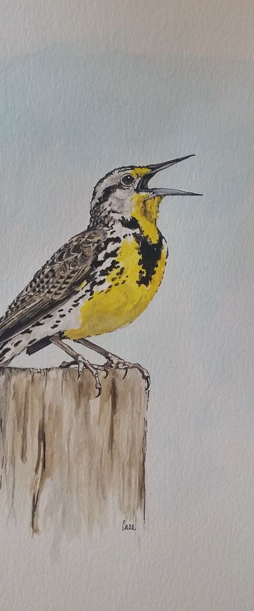 Meadow Lark's Song by Katrina Case