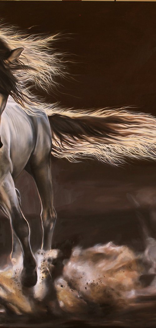 beauty in the arena by Marie Madej