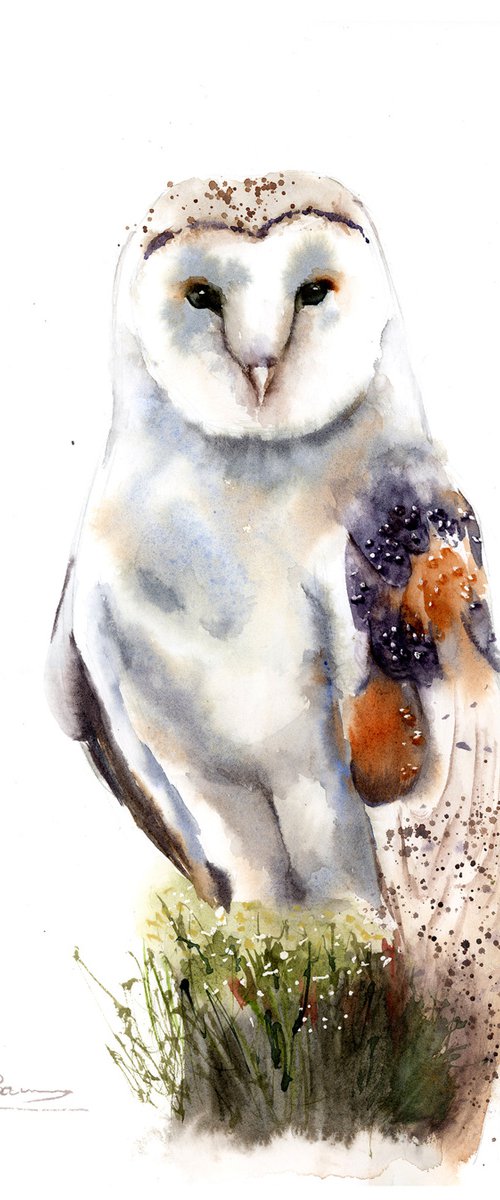 Barn Owl by Olga Tchefranov (Shefranov)