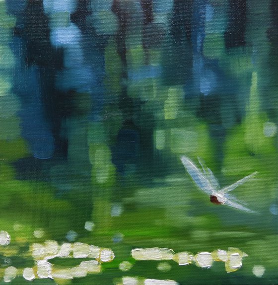 Dragonfly over dappled light