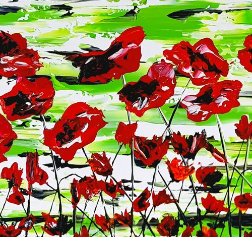 Red Poppies by Daniel Urbaník