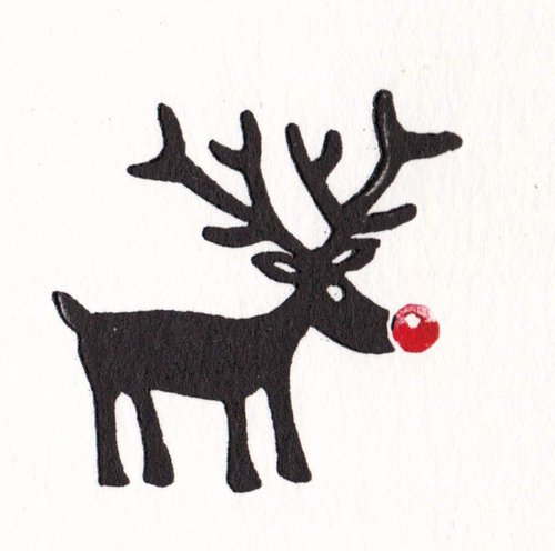 Little reindeer by Rory O’Neill