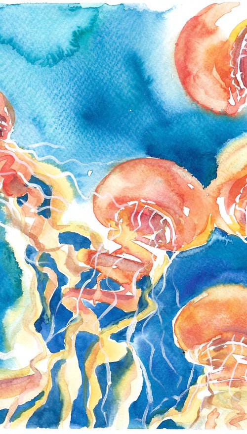 Jellyfish watercolor by Tanya Amos