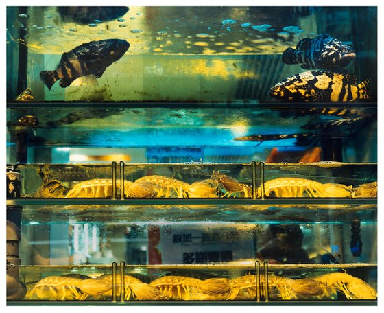 Wet Market, Kowloon, Hong Kong