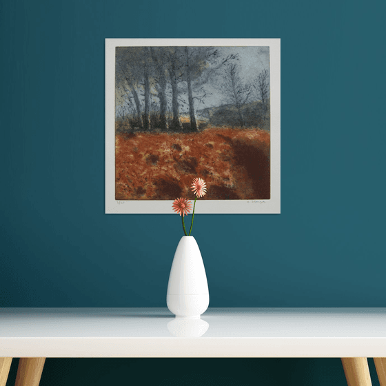 "Bracken" - Irish Landscape