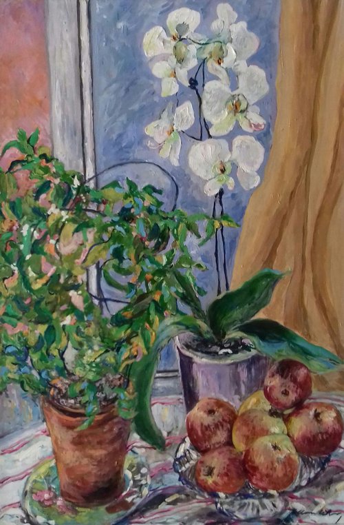 Still Life With Jasmine And Orchids by Ann Kilroy
