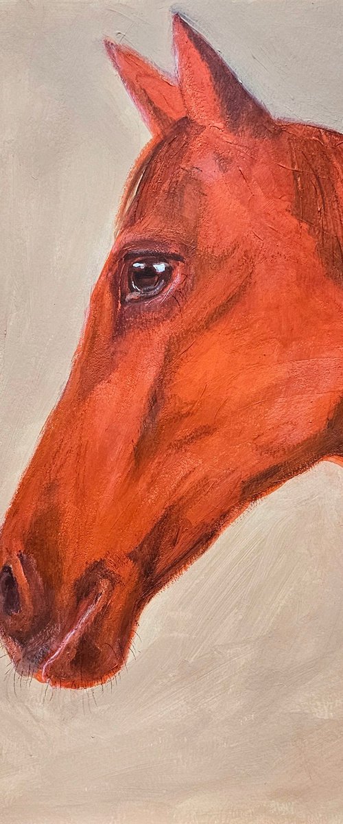 My orange chestnut horse portrait by Ksenia June