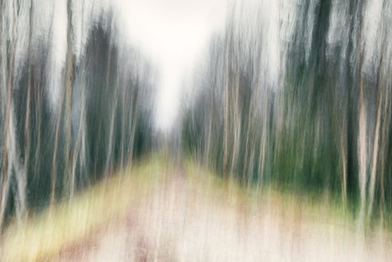 Lapland #5