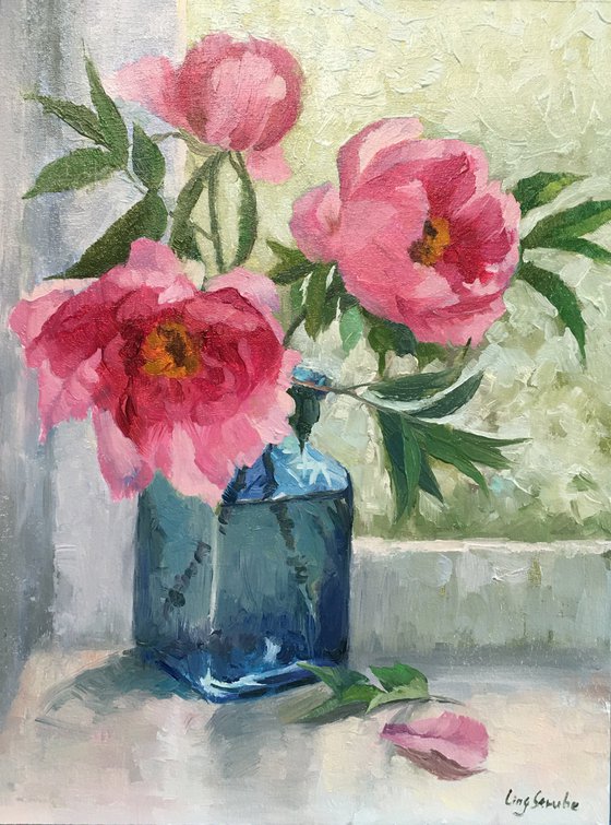 Peony by Window