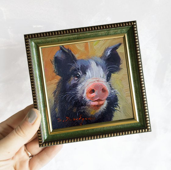 Pig portrait