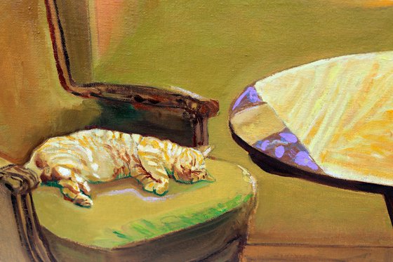 Kitty’s in Provence #2