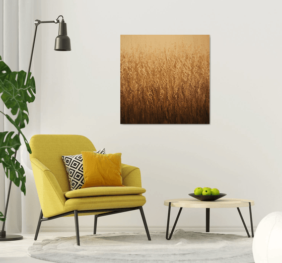 Field of Wheat