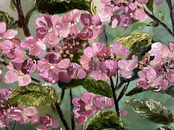 Hortensia Rose
