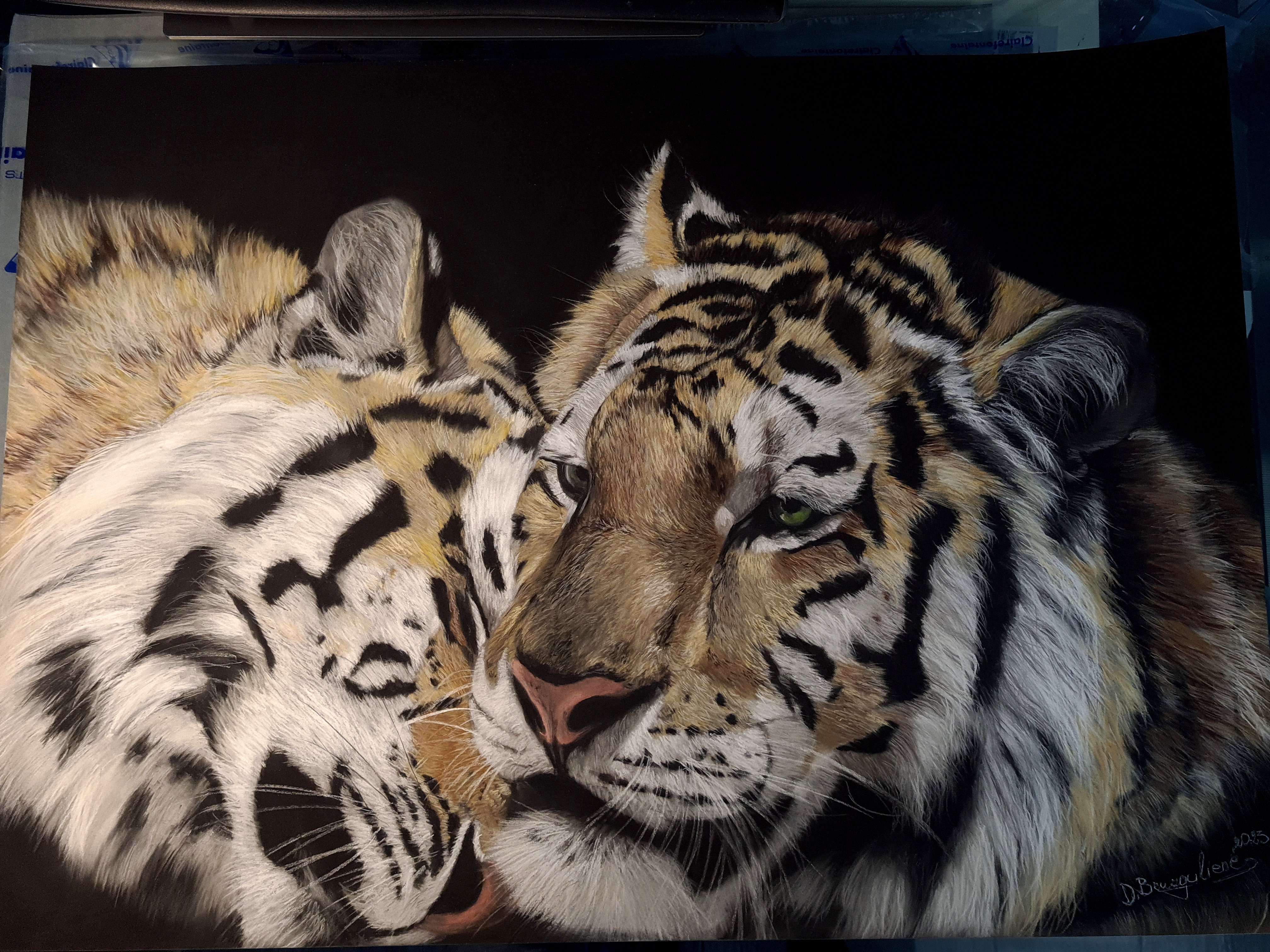 Photorealistic Animal Pastel Drawing By Deimante Bruzguliene, 28 X 20, Love In The Air, Original Artwork