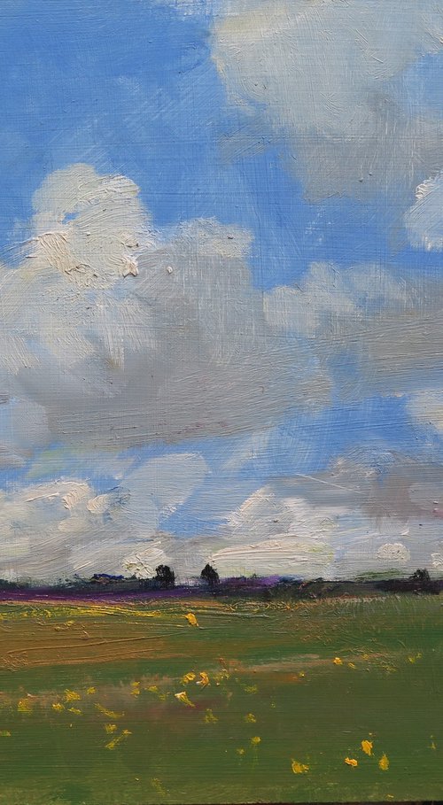 Summer Meadow by Malcolm Ludvigsen