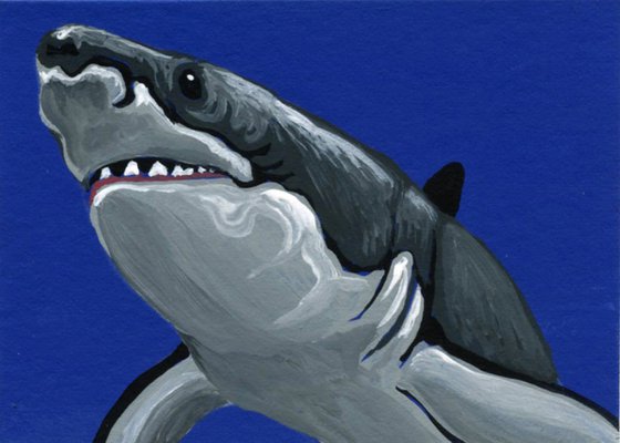 ACEO ATC Original Miniature Painting Great White Shark Fish Wildlife Art-Carla Smale