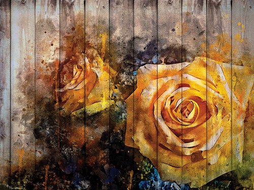 Rosas amarillas by Javier Diaz