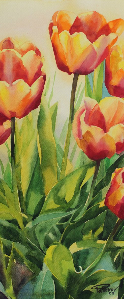 Tulips by Yurii Pashkov