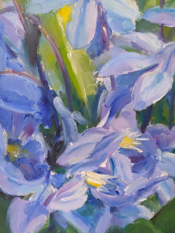Snowdrops