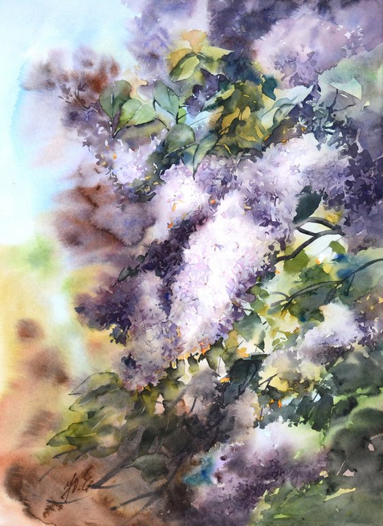 Lilac garden in watercolor