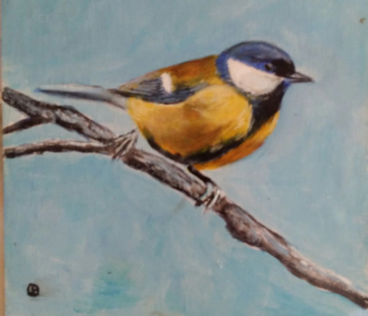 Impressionistic Animal Oil Painting By Els Driesen, 9 X 9, Blue Tit, Original Artwork