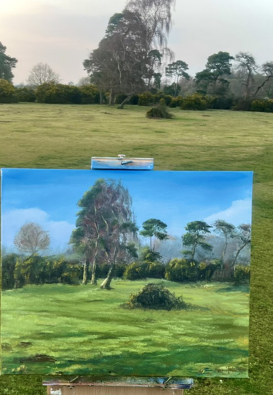 Canada Common New Forest