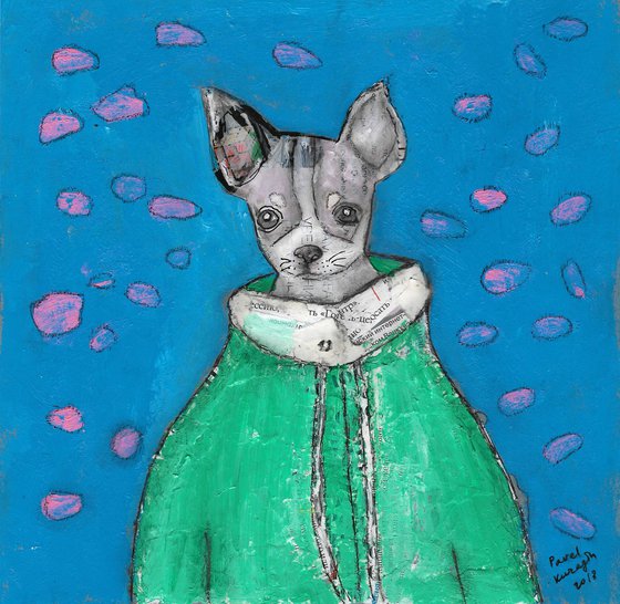 Chihuahua, who is wearing a hoodie