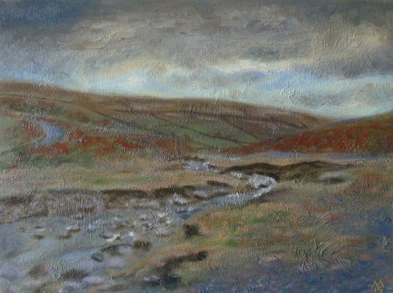 Teesdale moors 2