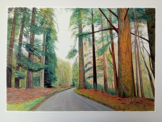 New Forest - 11.75x16.5 in