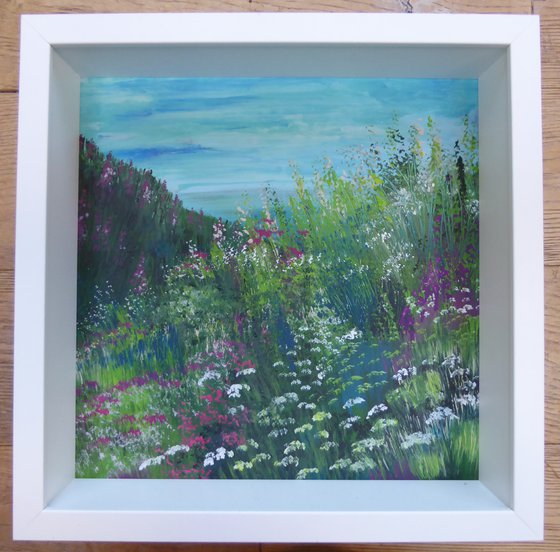 Penwith, summer wildflowers