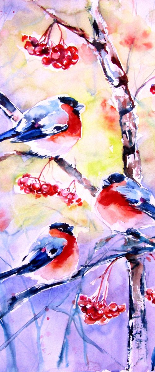 Bullfinches by Kovács Anna Brigitta