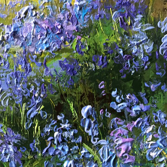 Bluebell Path