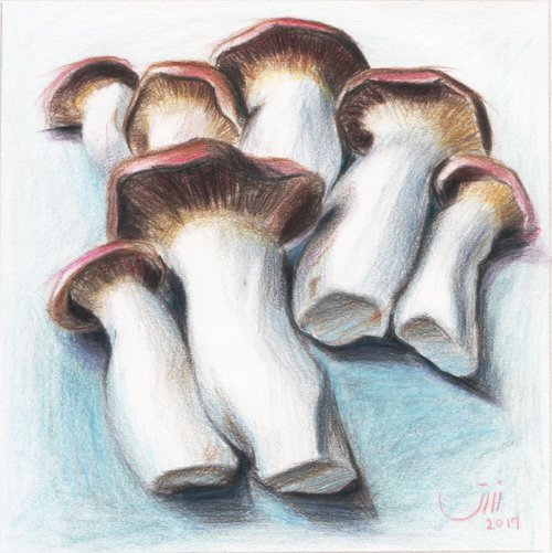 No.89, Giant Mushrooms by sedigheh zoghi