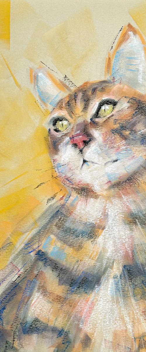 calm, for now by Deke Wightman