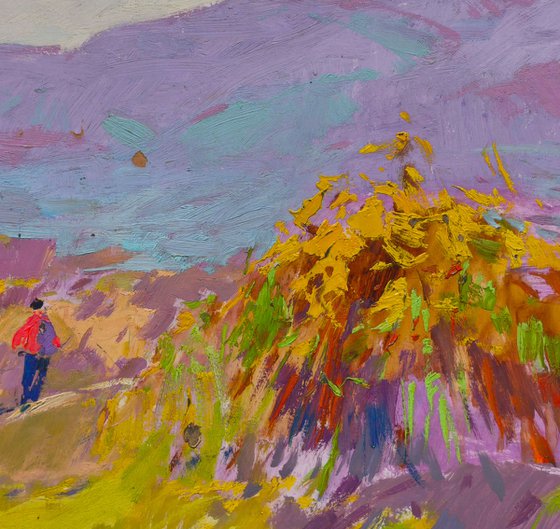 Walking in the Field