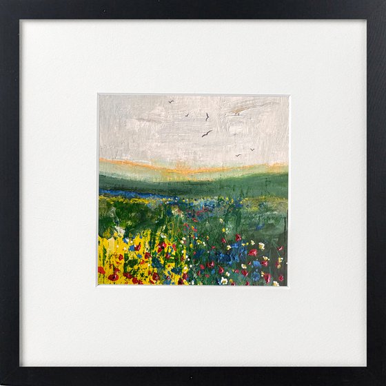 Cornflowers & Fields