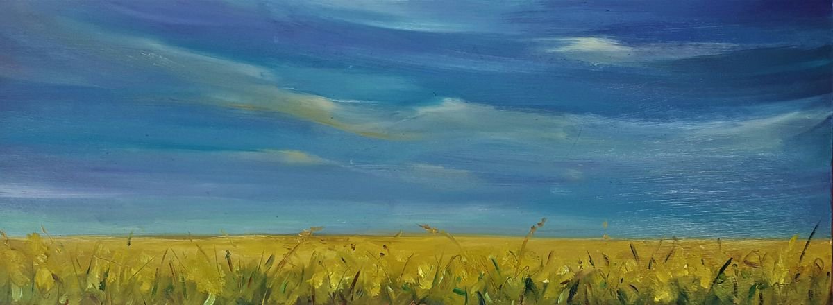 Yellow haze horizon - summer fields and blue skies by Niki Purcell - Irish Landscape Painting