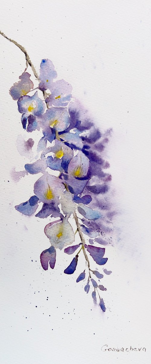 Wisteria #3 by Eugenia Gorbacheva