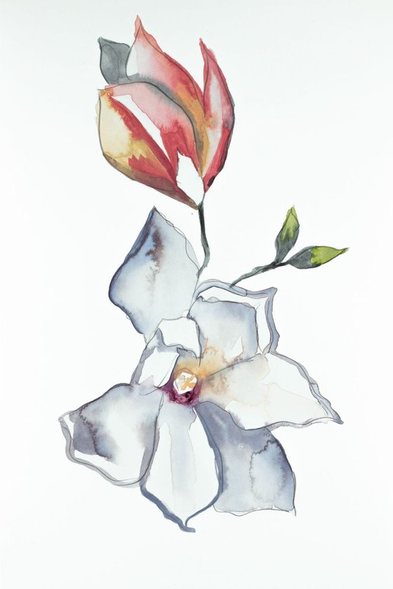 Magnolia Study No. 4